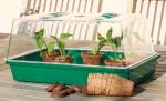 Accessoires pour semer - Kit de Plantation - 24 godets et 24 pastilles - MEDIA_EN_SITUATION_2